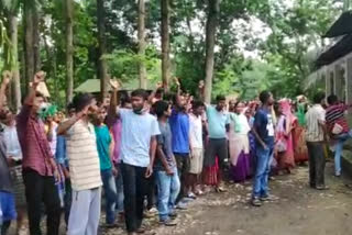 golaghat  tea labour protest