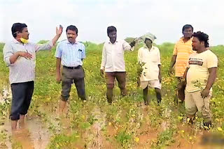 agriculture officers inspected crafts which are drown in water