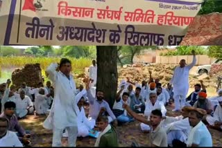 farmers are started protest against agriculture ordinance in fatehabad