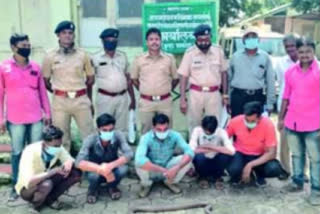 five snake smuggler arrested