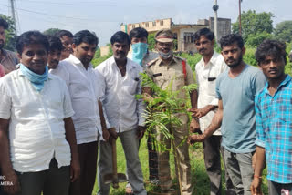 harithaharam programme in nirmal district