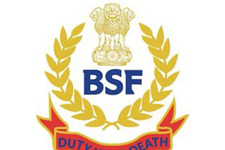 BSF  Bangladeshi nationals  West Bengal  Bagdah police station  Bangladeshis held in Bengal  Bangladeshis held for trying to cross border illegally  അനധികൃതമായി അതിർത്തി കടക്കാൻ ശ്രമിച്ച 13-ബംഗ്ലാദേശികൾ ബംഗാളില്‍ പിടിയില്‍  13-ബംഗ്ലാദേശികൾ ബംഗാളില്‍ പിടിയില്‍  13 ബംഗ്ലാദേശ് പൗരന്മാരെ പിടികൂടി