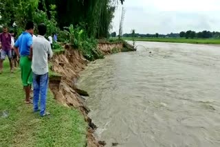 Boginodi Erosion in Lakhimpur Assam etv bharat news