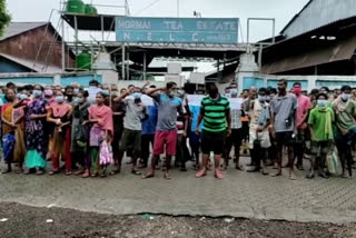 Tea labourers protest at Kokrajhar