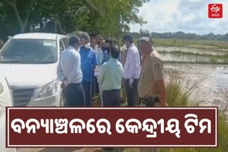 central-team-visit-to-flood-area