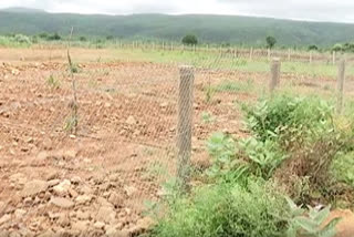 Land grabbing allegations on ycp mla in ysr kadapa district