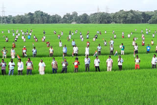 তৃণমূল কৃষক সংগঠনের প্রতিবাদ