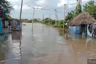 crop damage with heavy rains in kurnool district