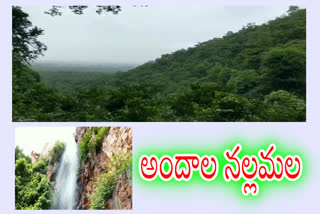 beautiful waterfalls in nallamala forest at chagalamarri kurnool district