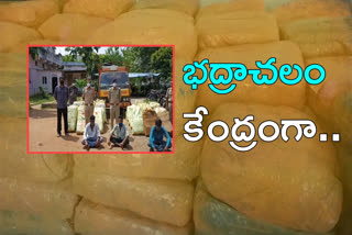 bhadrachalam-is-the-hub-for-cannabis-smuggaaling-across-the-states