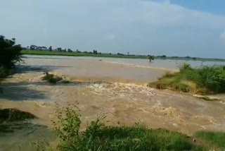 Decreasing water flow in Gunderu Drain