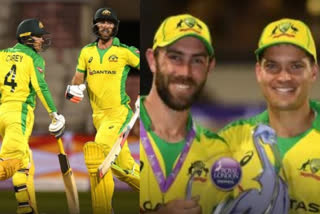 Glenn Maxwell, Alex Carey seal thrilling series for Australia