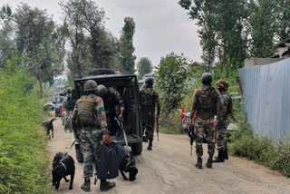 Three militants killed and two CRPF personnel injured in Srinagar encounter