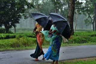 rain in chhattisgarh