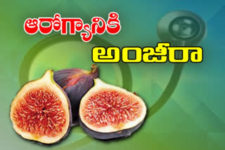 health solutions with anjeera fruit