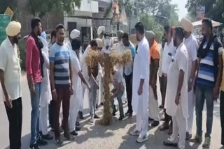 Congress blows up Modi government's effigy against Agriculture Ordinance in khadoor saihb