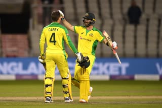 ENG VS AUS: Maxwell, Carey shine as Australia win thrilling series decider