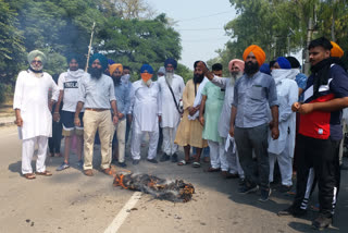 Protest by Panthik Akali Lehar in Fatehgarh Sahib