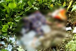 Brutally murdered mentally disable woman in Rupahihat nagaon assam etv bharat new