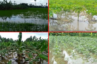 Submerged crops