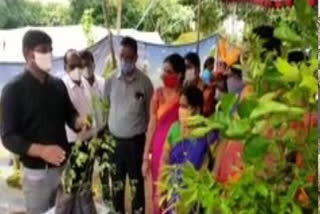 Awareness program on backyard gardening for women in suryapet district