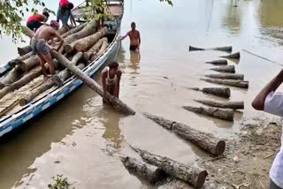 Wooden logs and rice seized by boko police kamrup assam etv bharat news