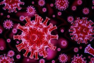 chandigarh corona virus case latest update