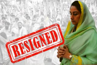 Harsimrat Badal to resign as Union Minister in protest of Agriculture Ordinances