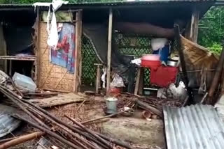 Chirang wild elephant destroy houses