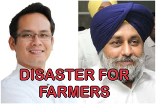 Govt's three farm ordinances 'disaster' for farmers: Congress