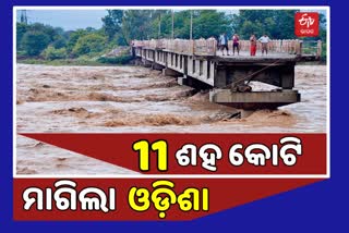 କେନ୍ଦ୍ରୀୟ ଟିମ ଆଗରେ ୧୧୦୦  କୋଟିର ବନ୍ଯା କ୍ଷୟକ୍ଷତି ଦାବି କଲା ଓଡିଶା