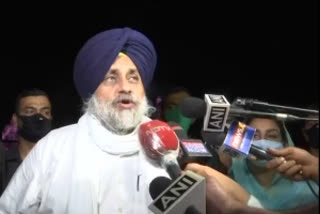 SAD president Sukhbir Singh Badal