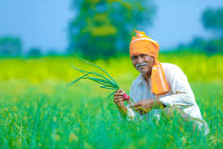 Distribution of funds to farmers