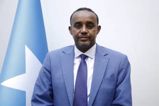 mohamed hussein roble appointed somalia's new prime minister