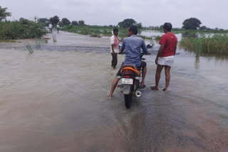 crops drenched in kamareddy district due to heavy rain