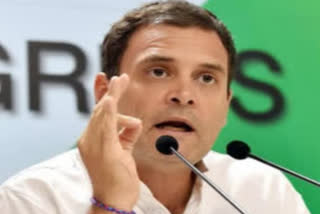 Why insult corona warriors: Rahul on govt's 'no data on deaths of healthcare worker' RS reply