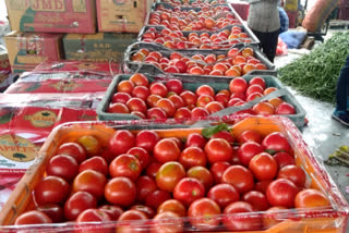 tomatoes price hike