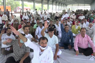 farmers and adhati protest against agriculture ordinance in rohtak