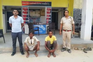 Dholpur news, धौलपुर में बदमाश गिरफ्तार, Crook arrested in dholpur