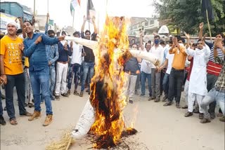 protest against congress candidate ravindra singh