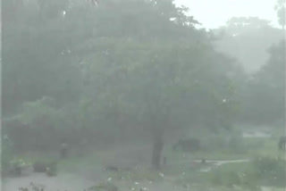 Heavy rains in macharla guntur district