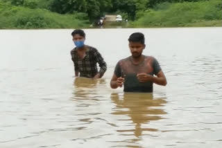 vemulooru bridge Submerged  with somashila project backwater in kadapa district