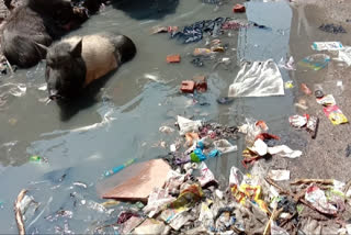 People trouble due to broken road and waterlogging in Indra Enclave of Kirari