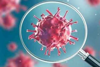 CT Scans of Patients with 2019 Novel Coronavirus