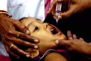 coronavirus impact on pulse polio in Malda