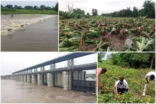 rain update in maharashtra