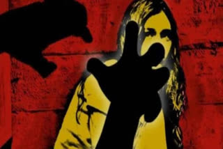 Woman Gang-Raped In Rajasthan, Accused Filmed Act And Posted Video Online: Police