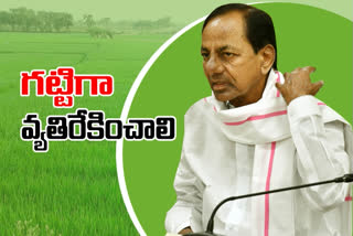 CM KCR directs the TRS MPs in the matter of that agriculture bill in rajya sabha