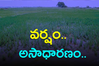 Yadadri district has received the highest rainfall during the season in a decade