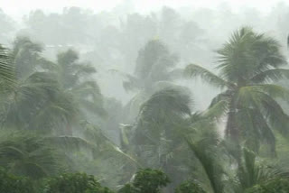 heavy rain in kerala  red alert in three districts  kerala rain  കേരളം മഴ  കേരളത്തിൽ കനത്ത മഴ  മൂന്ന് ജില്ലകളിൽ റെഡ് അലർട്ട്